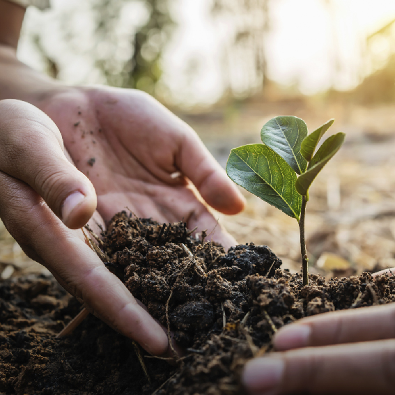 We manage every stage of the farming process, making agriculture simpler, more convenient, and more efficient.